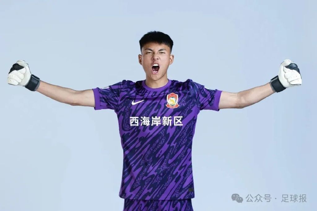 点击免费下载体验。展示图片